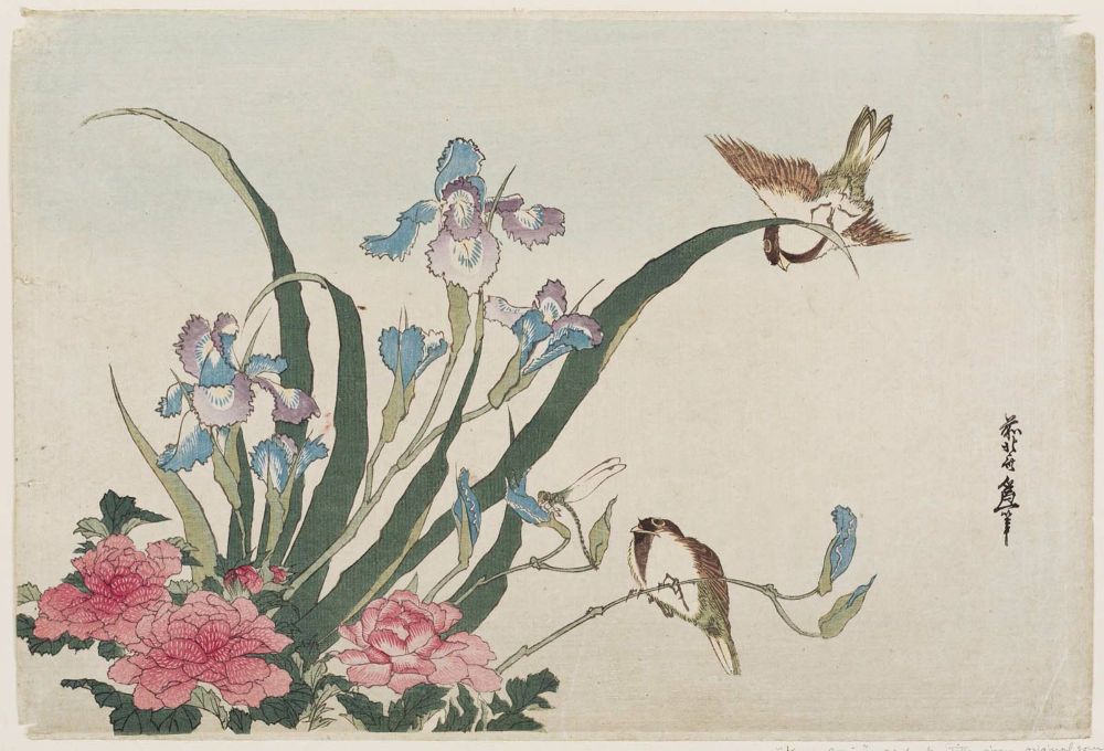 Hokusai -Iris, peonies, sparrows, and dragonfly