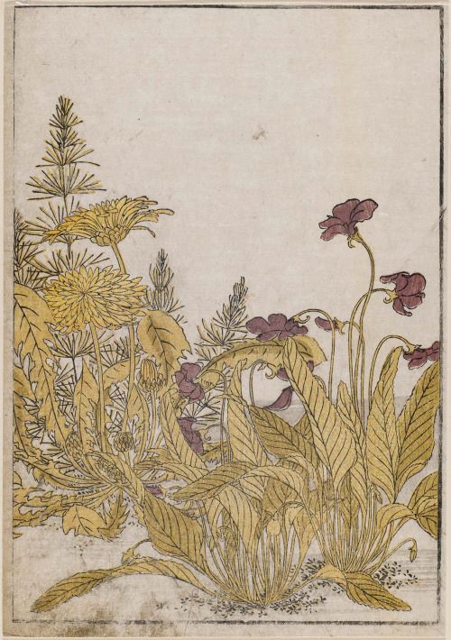 Katsukawa Shunsho -Spring Flowers, Violets and Dandelions -from the book Mirror of Beautiful Women of the Green Houses 1776